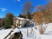 61 La casetta con gli altissimi faggi secolari